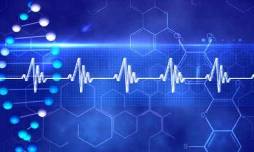 Gene therapy can help correct heart rhythm disorder