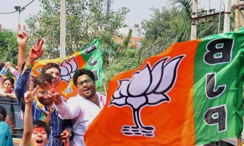 Will win Haryana\s all 10 LS seats on our own: BJP