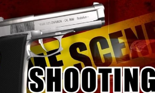 Man shot dead by 2 men