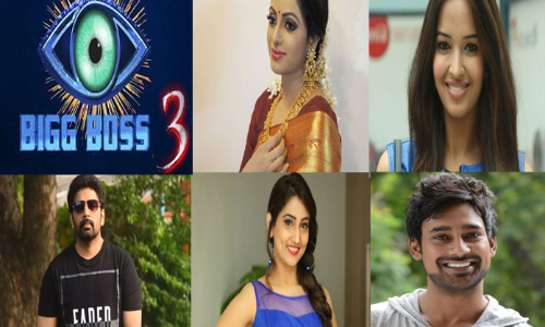 Bigg Boss 3: Can these artists be Bigg Boss Contestants?