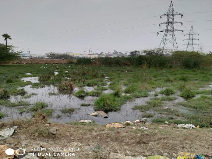 Open land flooded with drain water