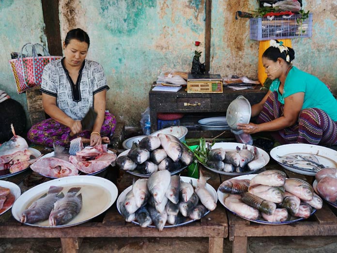 Achieving Paris climate target could add billions in fisheries revenue
