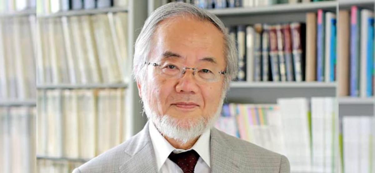 Japanese scientist Yoshinori Ohsumi wins 2016 Nobel medicine prize