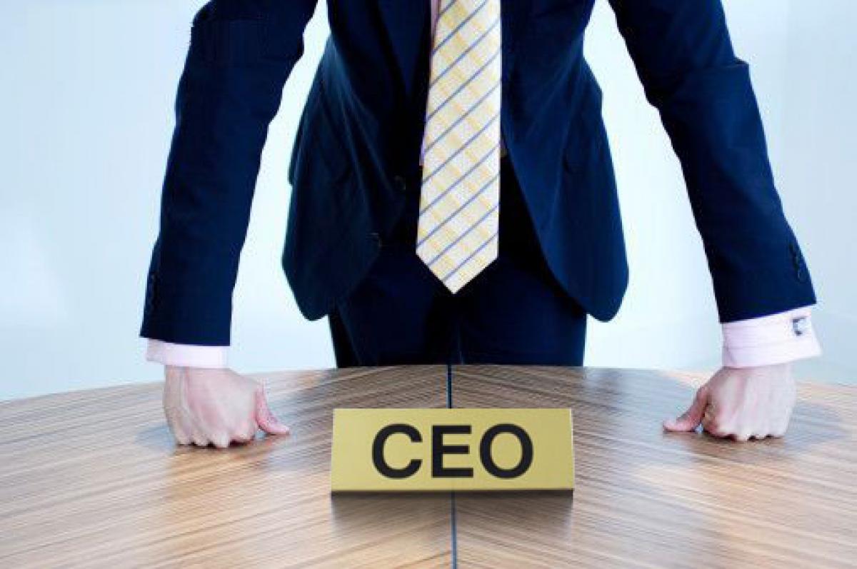 Why you say your CEO is matured? – HR messages from law of physics
