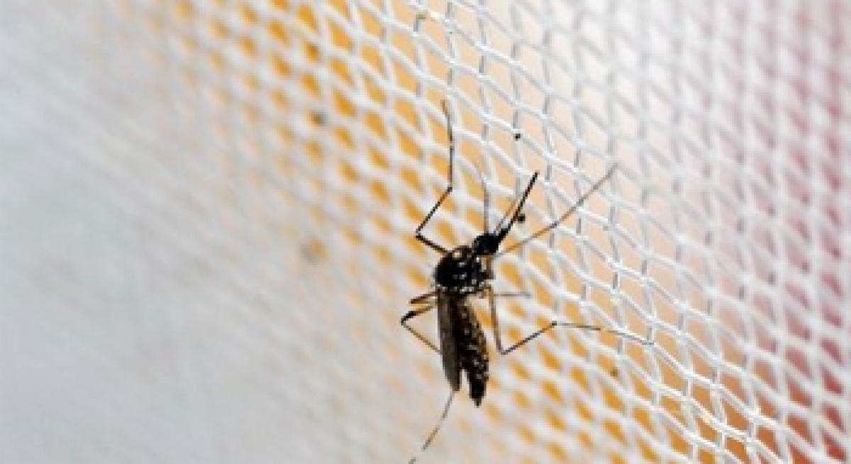 Cuba reports new Zika case