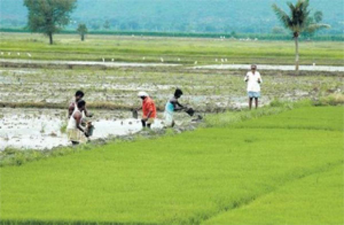 Karnataka setting up panel on farmers welfare