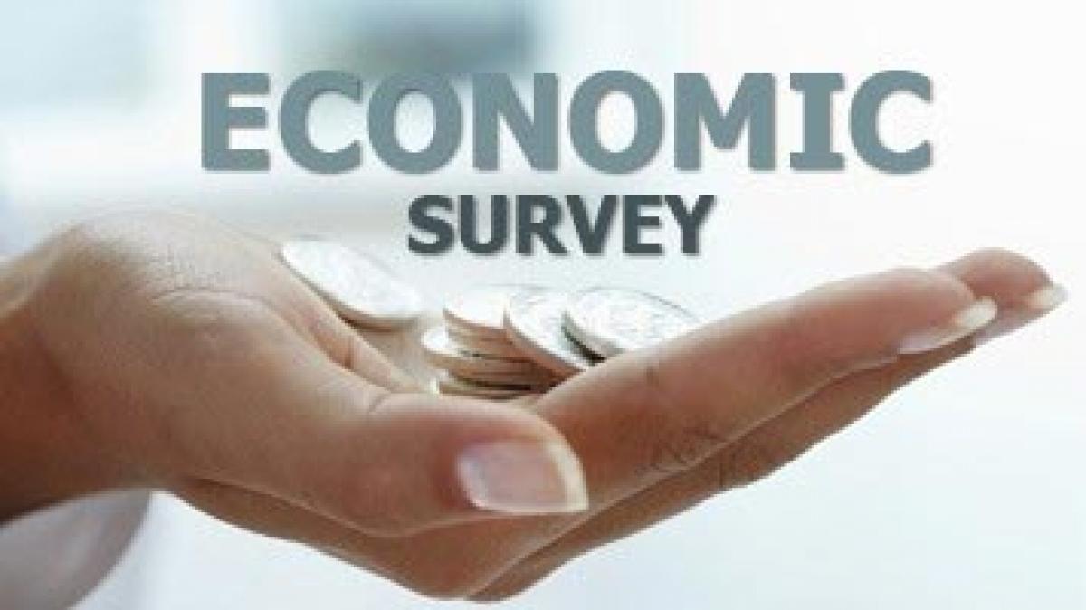 Economic Survey pats Krishna dist