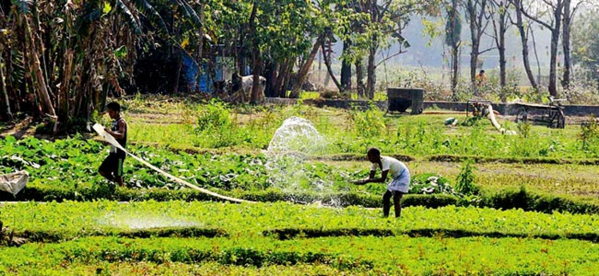 Make in India for Indian Farmers