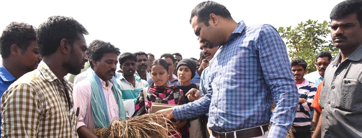Collector RV Karnan examines damaged crops in khammam district