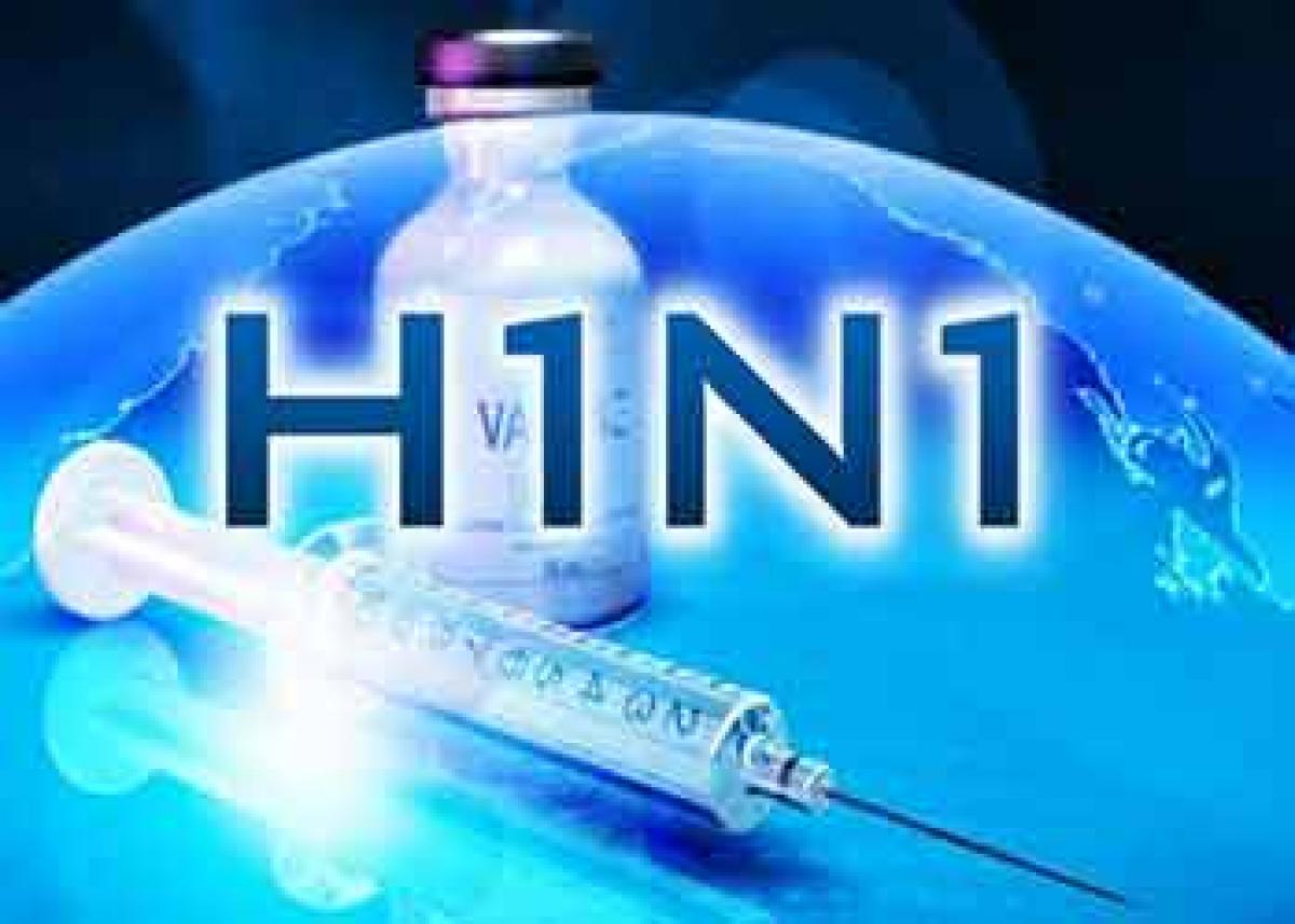 Boy dies of swine flu