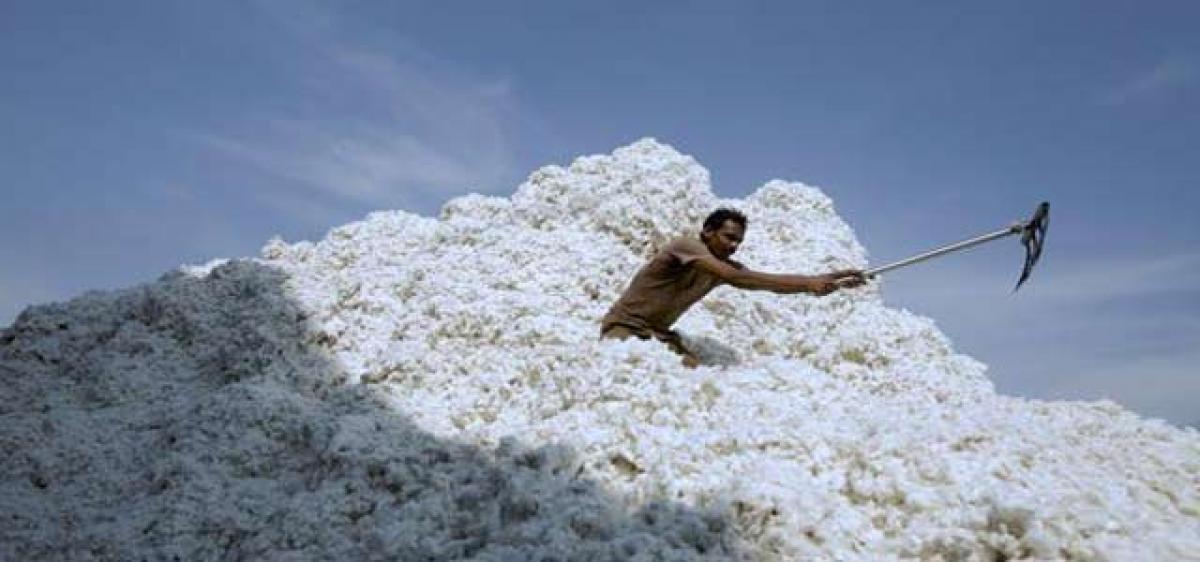 Cotton touches record price