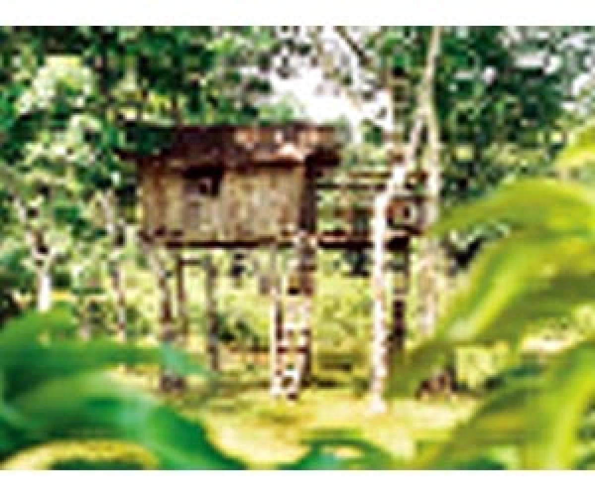 Eco-tourism projects in Nallamala on the anvil