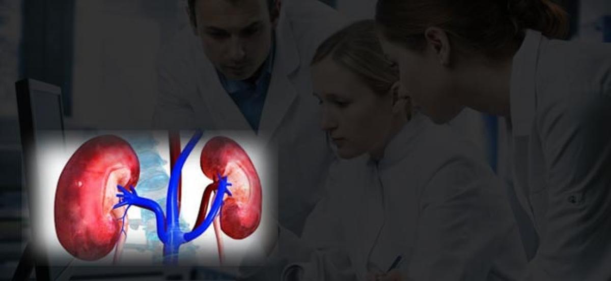 Researchers to find ways to prevent damage in donated kidneys