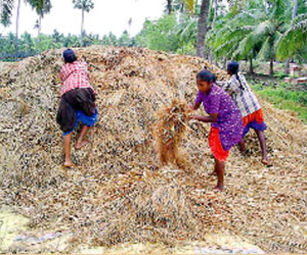 Farmers in a fix Over cyclone warning