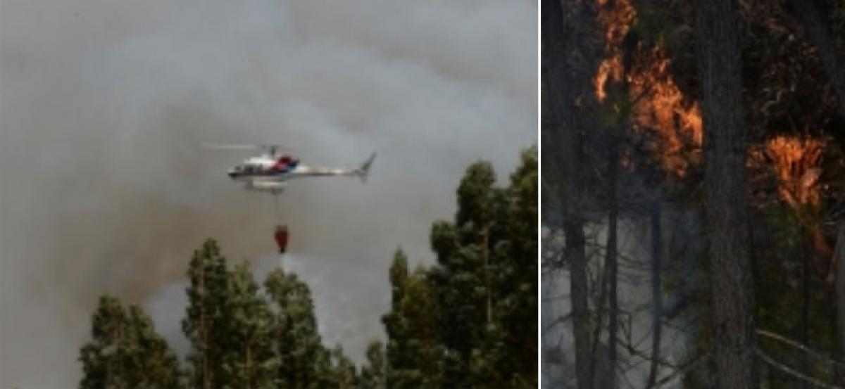 Forest fire continues in Portugal, toll reaches 64