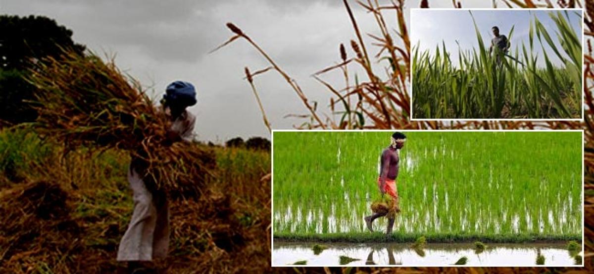 Indian agricultures susceptibility to changing climate