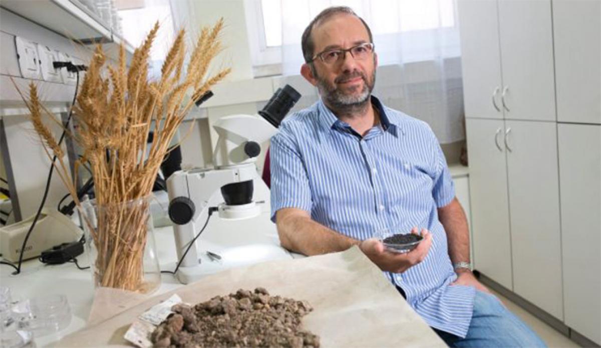 Farming emerged 23,000 years ago in present Israel