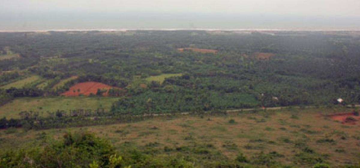 Land sharks encroach protected forest lands
