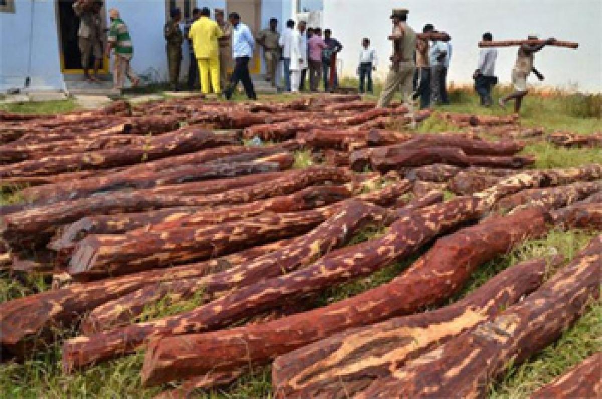 Two international red sanders smugglers held