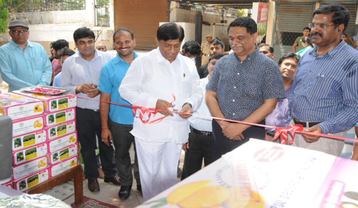 MP Vinod launches mango stall in Delhi