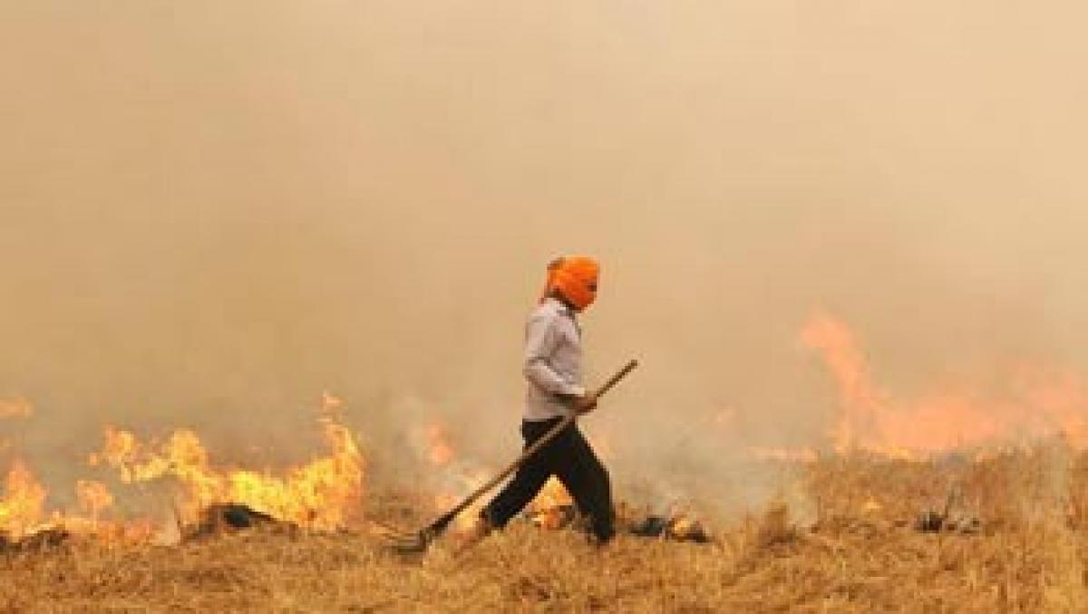 Crop residue burning hits S Asian air quality