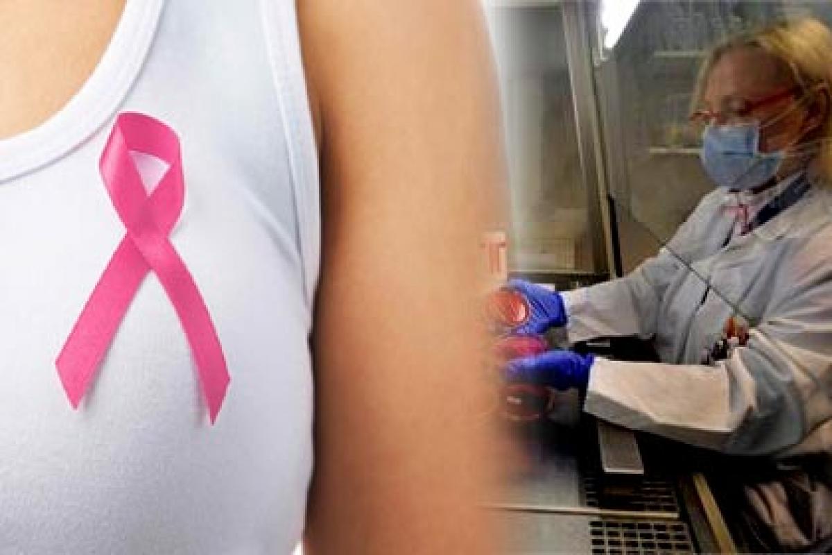 Breast cancer drug can be useful for other types of cancer
