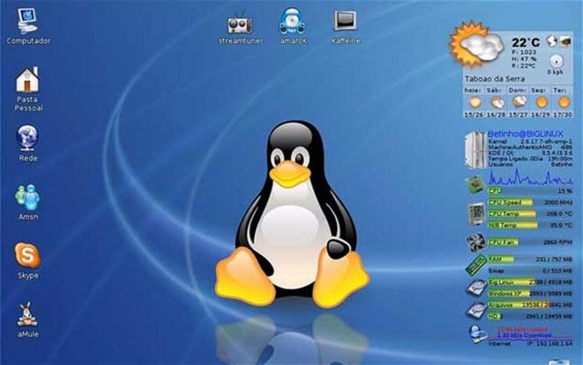 Linux operating systems vulnerable to cyber attacks: Report