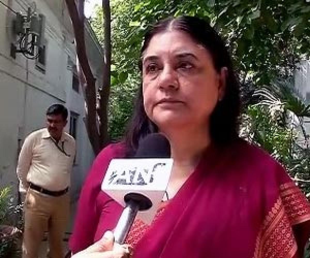 Maneka fumes at environment ministry over cruelty to animals