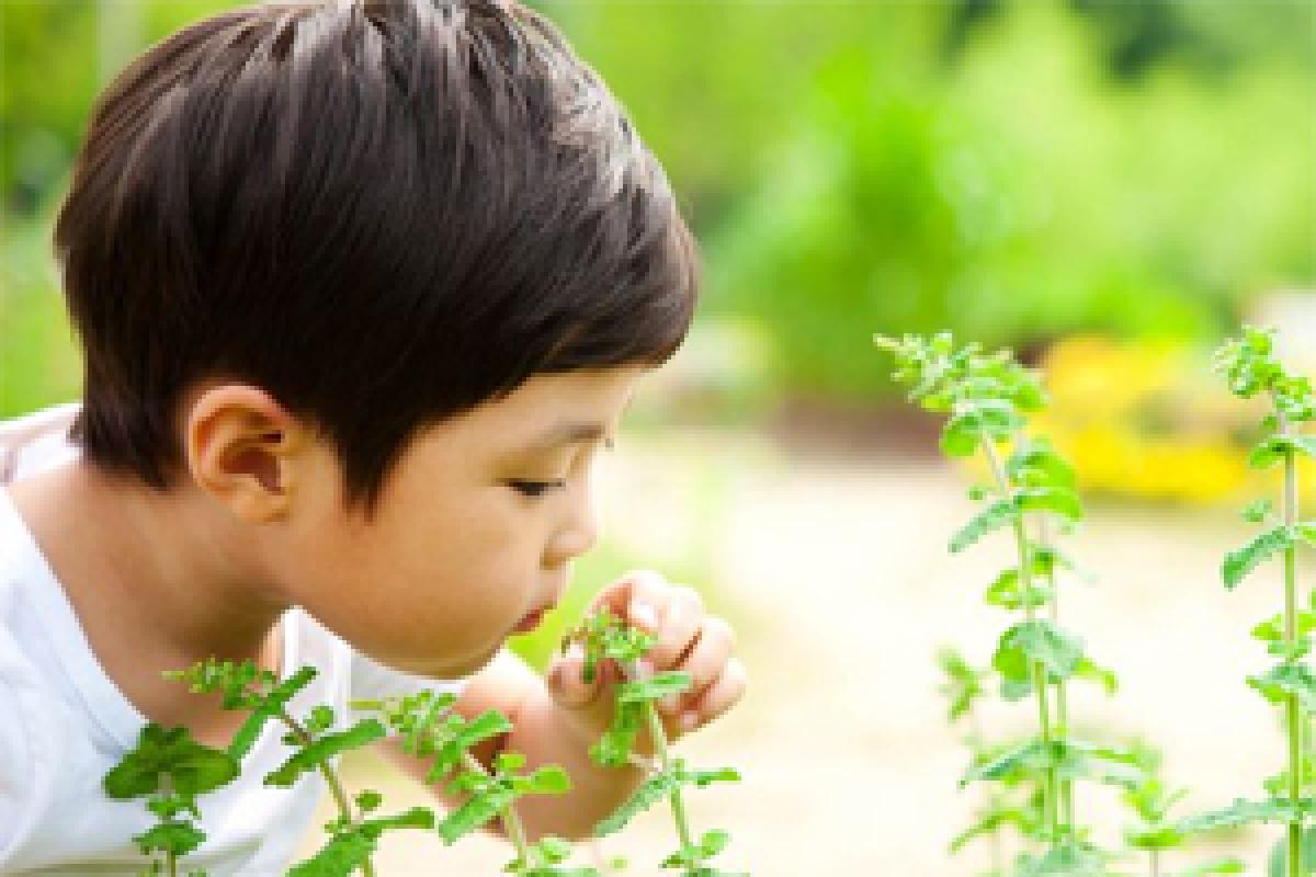 A sniff test could spot autism early