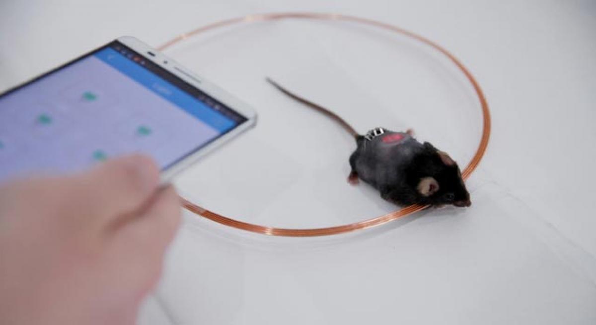 Smartphone-controlled cells can treat diabetes