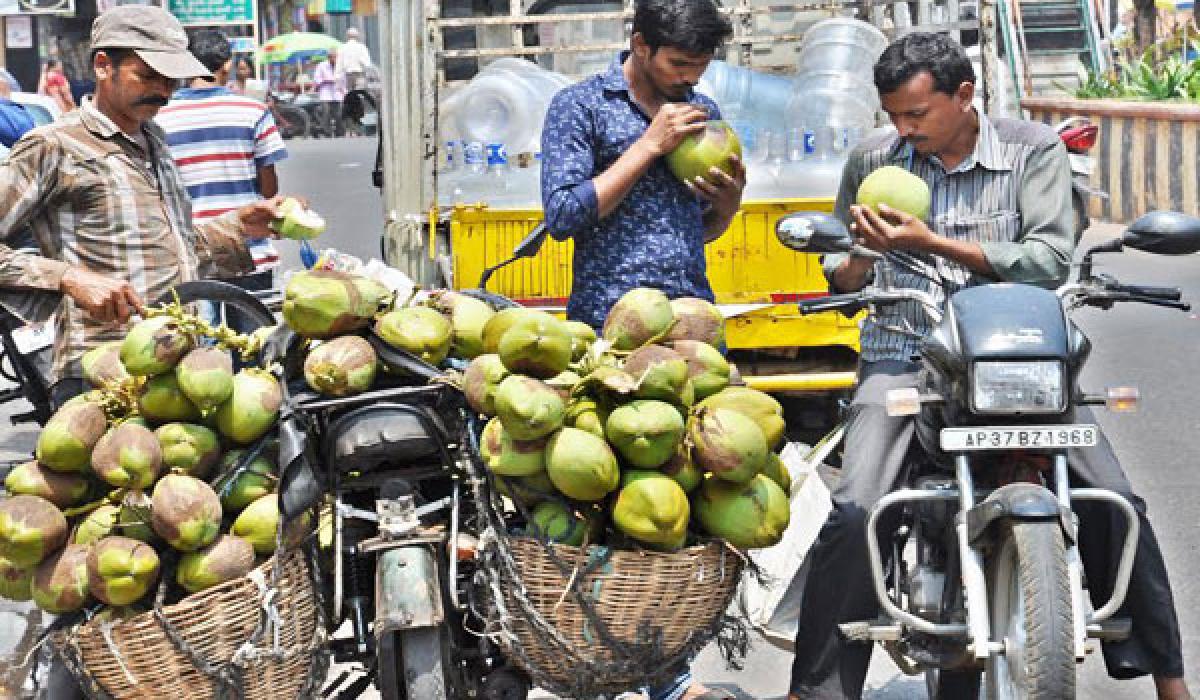 Heavy demand for tender coconut water