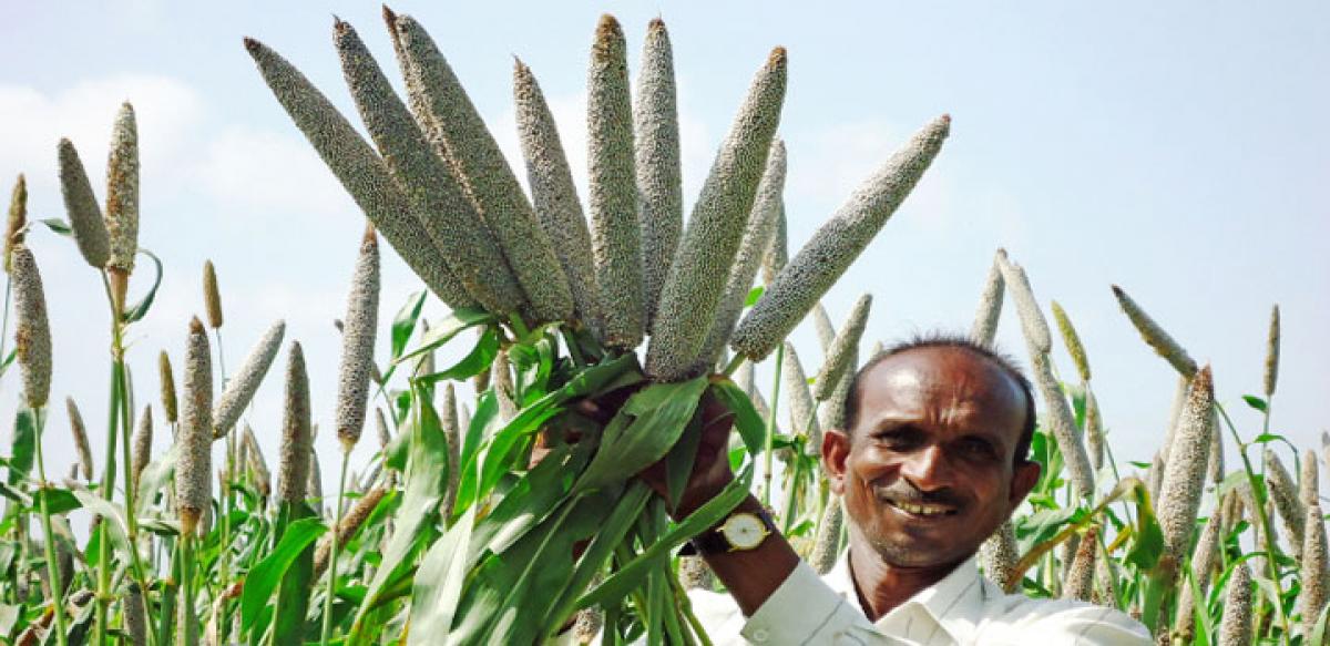 Plan to declare Telangana as millet State