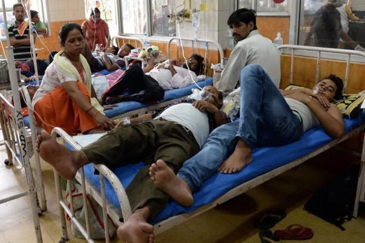 Dengue patients hit in Palamur