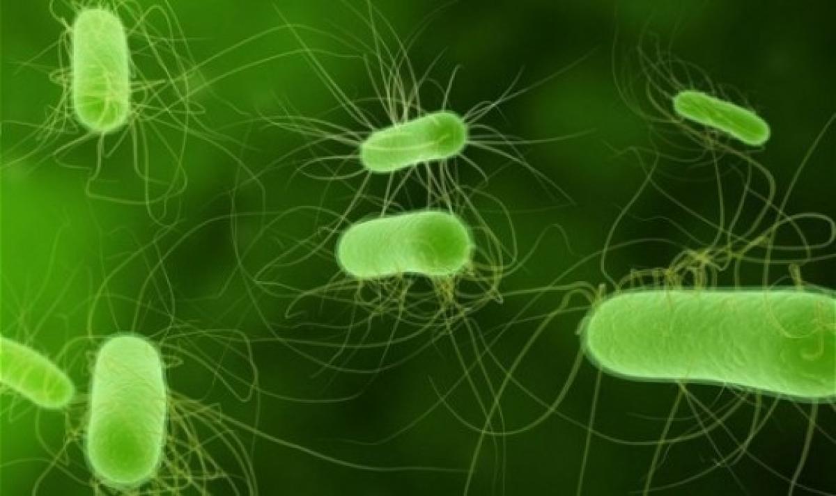 Worlds most sensitive test to spot super bugs arrives