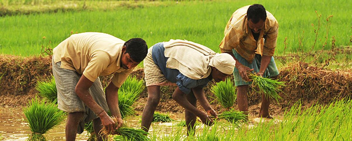 Tamil Nadu Farmers Start Indefinite Protest