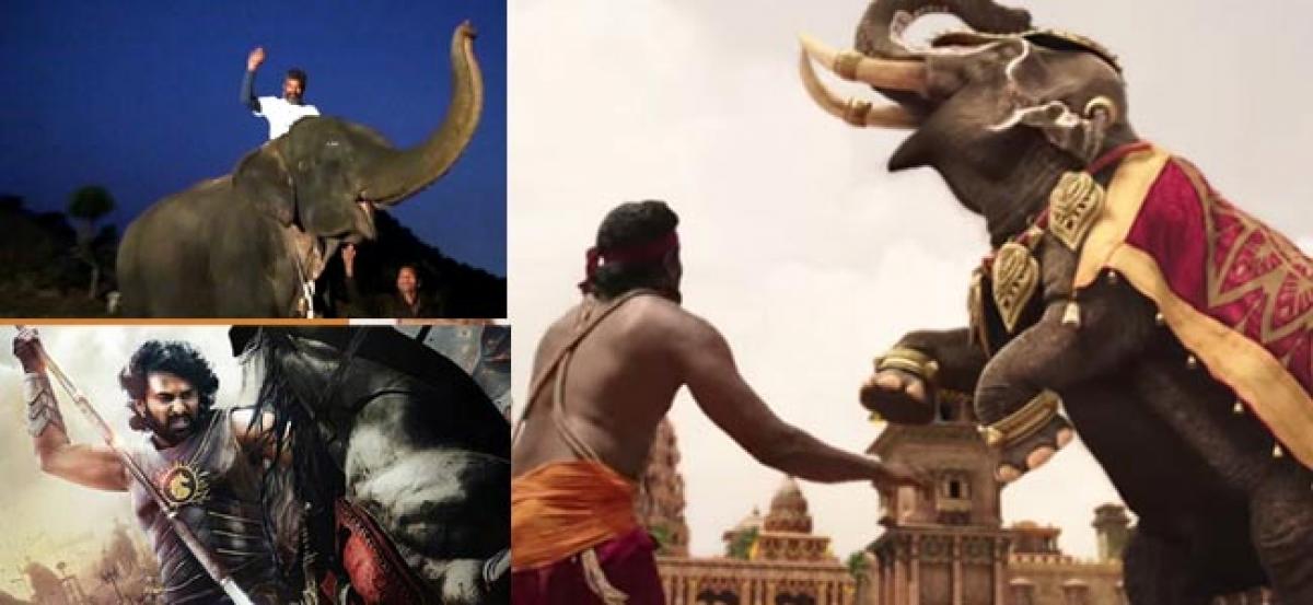 Baahubali Team face wrath of animal rights campaigner over use of elephant