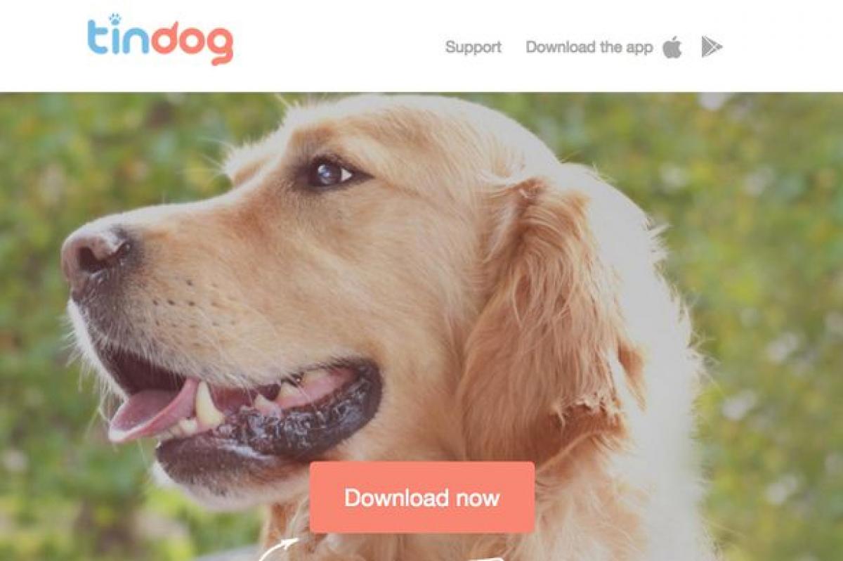 Dogs get Tinder-style dating app Tindog