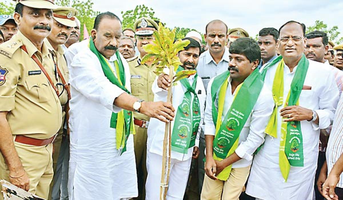 Mass plantation the only way to increase green coverage: Minister Nayani Narsimha Reddy