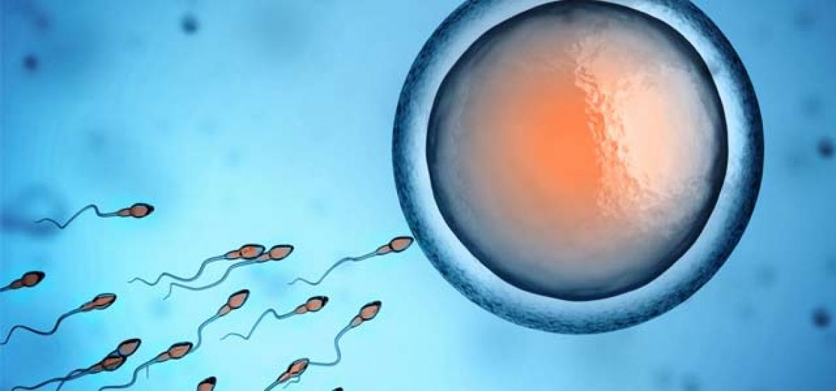 Is Zika infection harmful to male fertility?