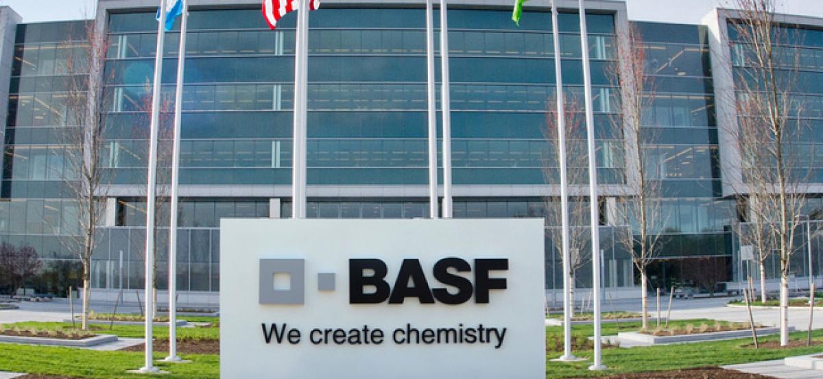 PI Ind partners BASF to offer crop protection solutions