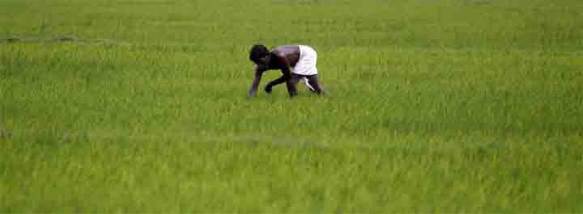 60 percent interest! Thats how much Tamil Nadu farmers pay for agricultural loans