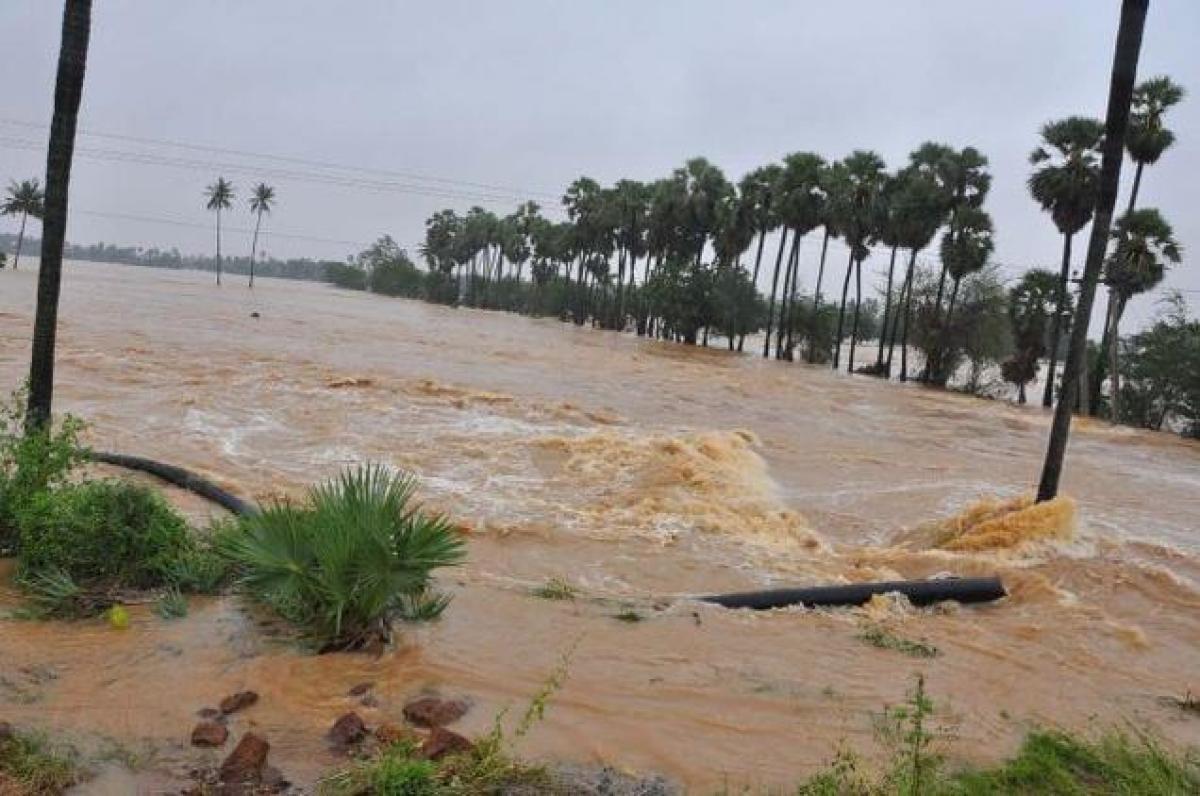 Nellore flood victims await normalcy