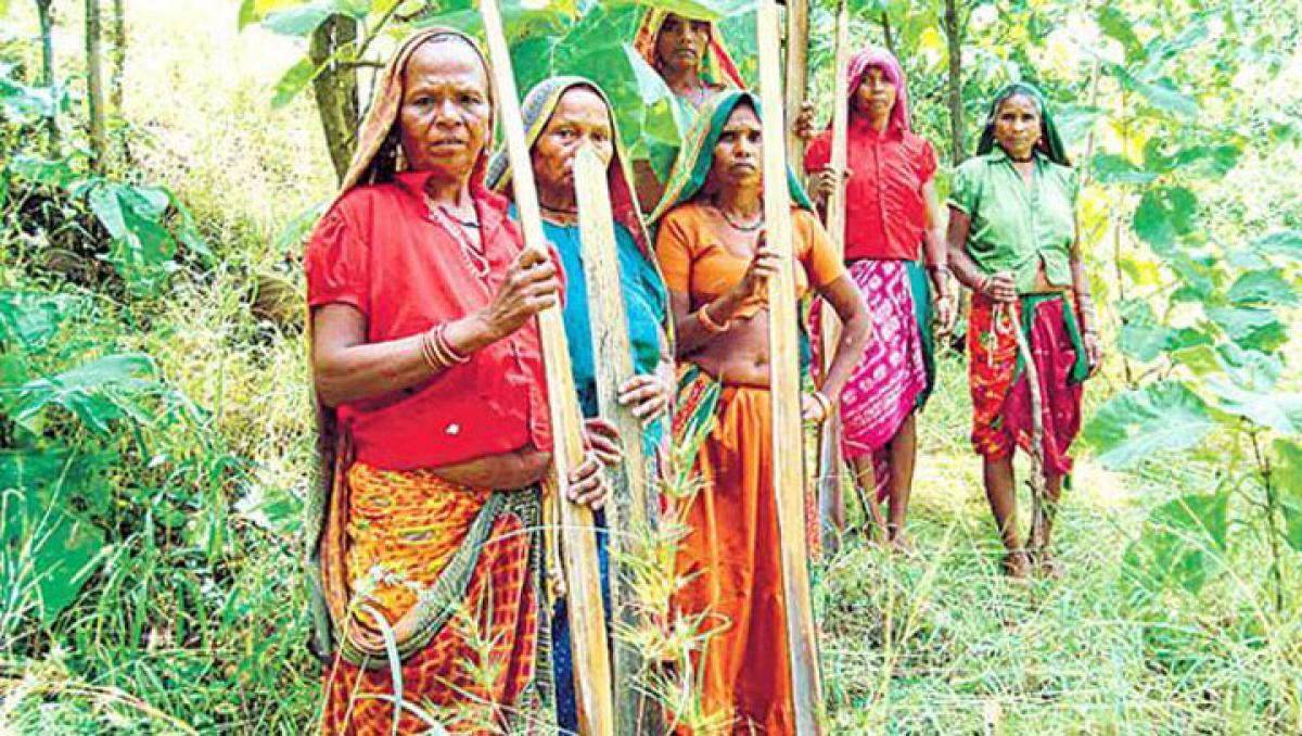 India’s tribes demand legal right to shelter, land