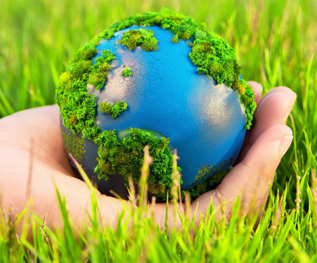 Protection of environment for sustainable development