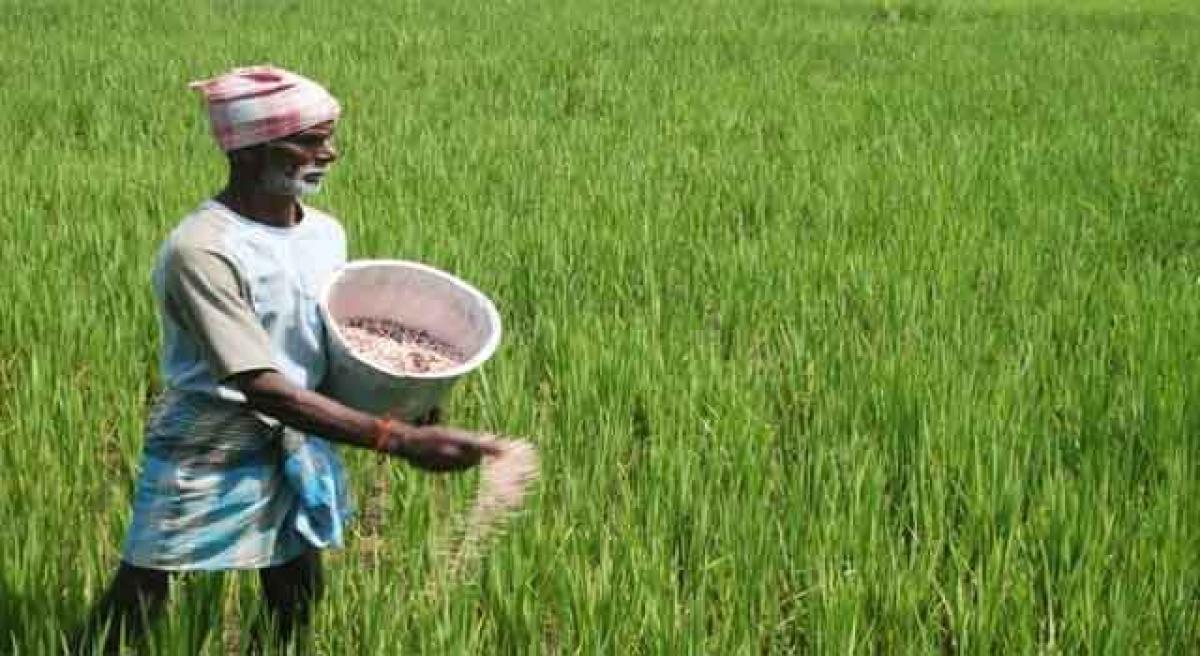 Agri department ready to supply seeds, fertilisers