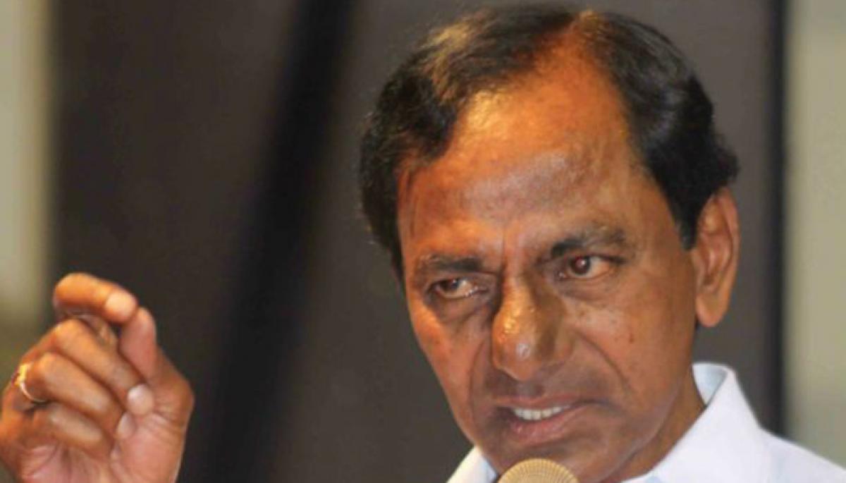 Telangana to plant 230 crore trees in the next 3 years: KCR