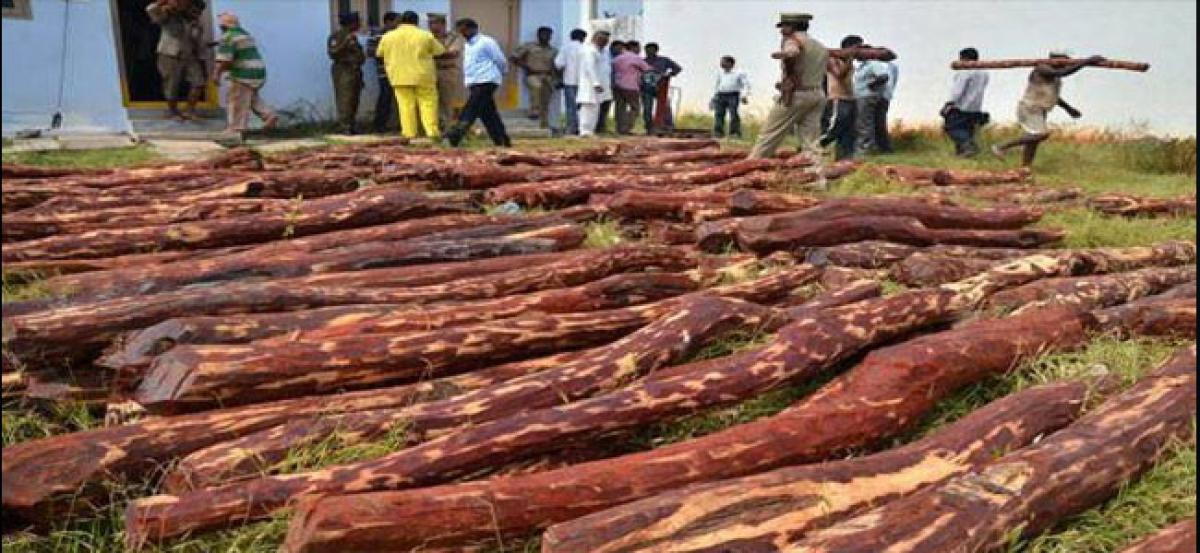 48 red sanders logs seized; 11 arrested