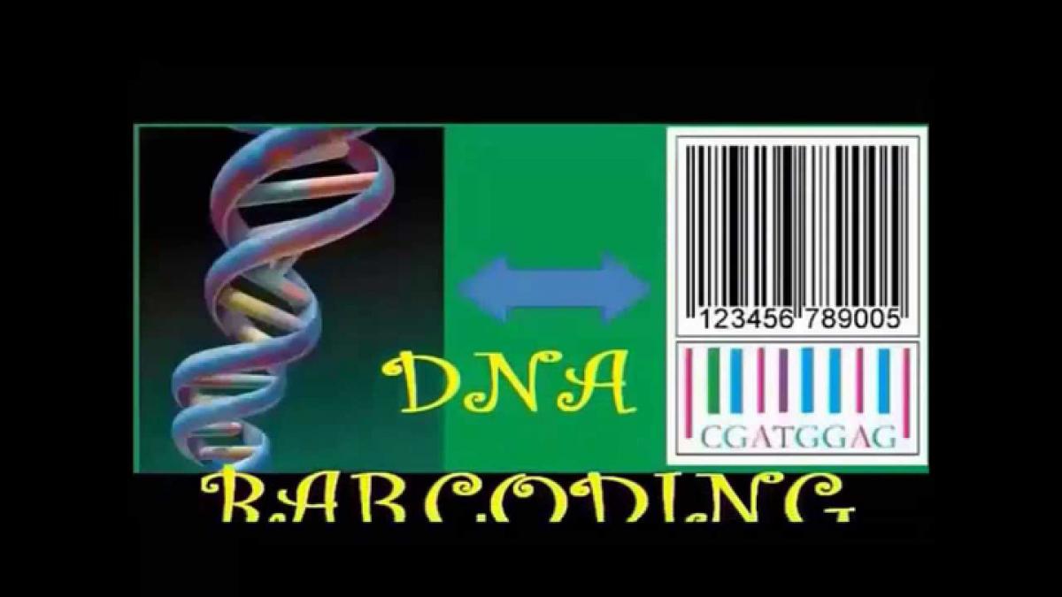 DNA barcoding can enhance safety