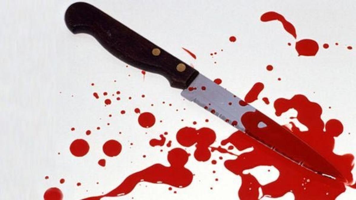 Woman kills mother-in-law