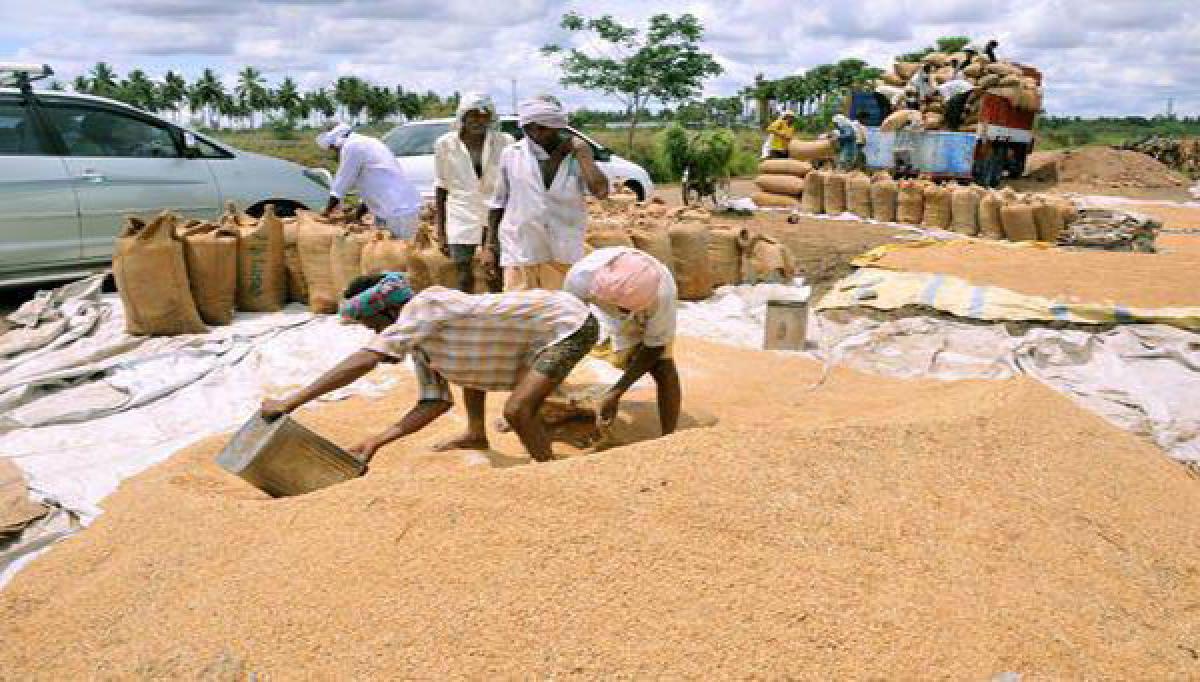 Traders use truck strike as pretext to cut paddy prices :